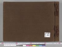 震災写真帳１／大正・昭和