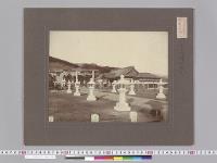 台湾神社写真　表参道／明治