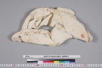 孝明天皇紀附図原稿106　顱巻模型
