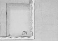 華族系譜216　松平家　会津　系図