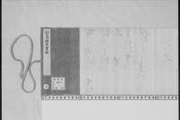 副島種臣書翰　明治二　三条実美・岩倉具視宛