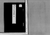 禮子女王殿下正三位勲三等功四級伯爵佐野常羽嗣子従五位佐野常光へ御婚嫁の件昭和8～9年
