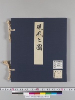 狩野常信筆鳳凰之図／明治写