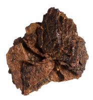 鉄製短甲残欠　頚甲・肩甲付