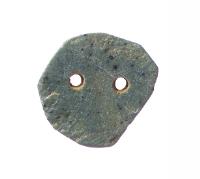 双孔円板