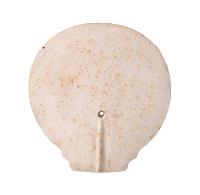 帆立貝形石製品（石膏模造）