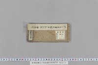 徳川家慶日光御参詣供奉御行列　（天保１４年）