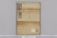 大納言家歌合　（長元２年４月）