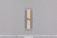 練歩之事　（一条家説）