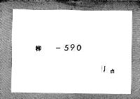 共綱卿記　（慶安４年正月・２月）