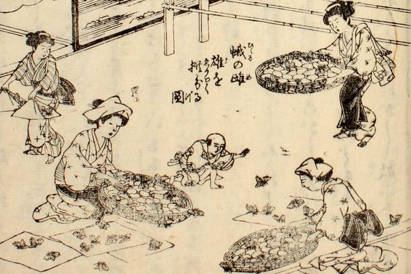 ギャラリー一覧 - 書陵部所蔵資料目録・画像公開システム